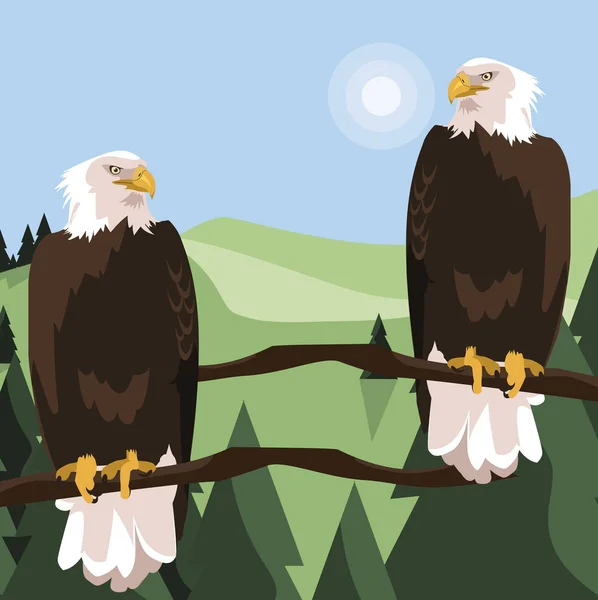 Beautiful bald eagles in tree branch landscape scene — Stock Vector