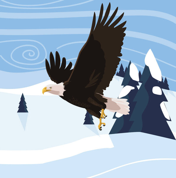 beautiful bald eagle flying in the snowscape