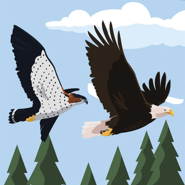 Beautiful bald eagle and hawk flying in the landscape — Stock Vector