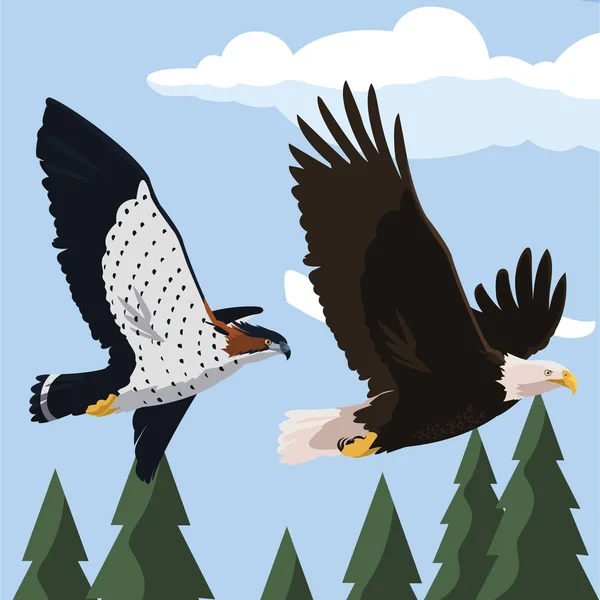 Beautiful bald eagle and hawk flying in the landscape — Stock Vector