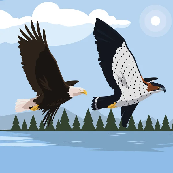 Beautiful bald eagle and hawk flying in the landscape — Stock Vector