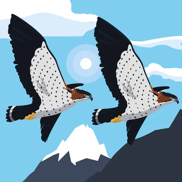 Mooie haviken vliegende majestueuze vogels — Stockvector