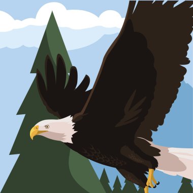 manzara uçan güzel kel kartal