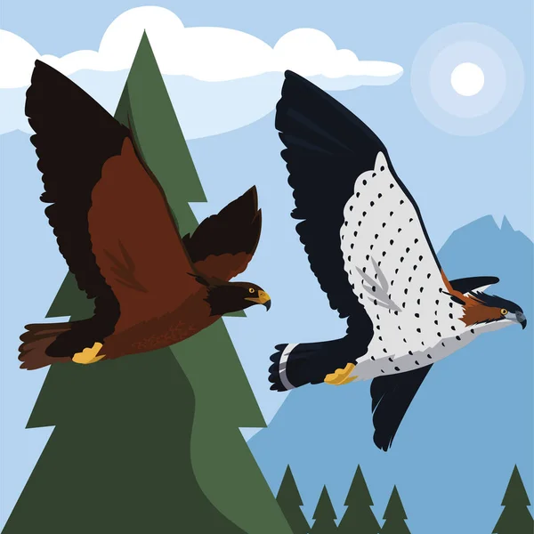 Beautiful eagle and hawk flying in the landscape — Stock Vector