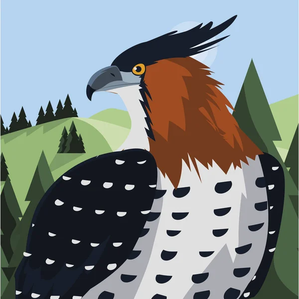 Beautiful hawk majestic bird in the landscape — Stock Vector