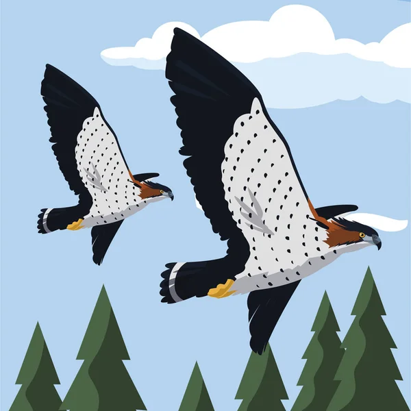 Schöne Falken fliegen majestätische Vögel — Stockvektor