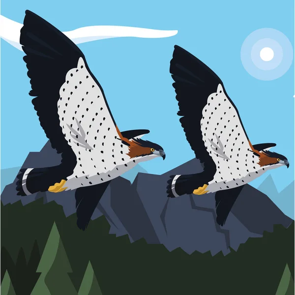 Hermosos halcones volando aves majestuosas — Vector de stock