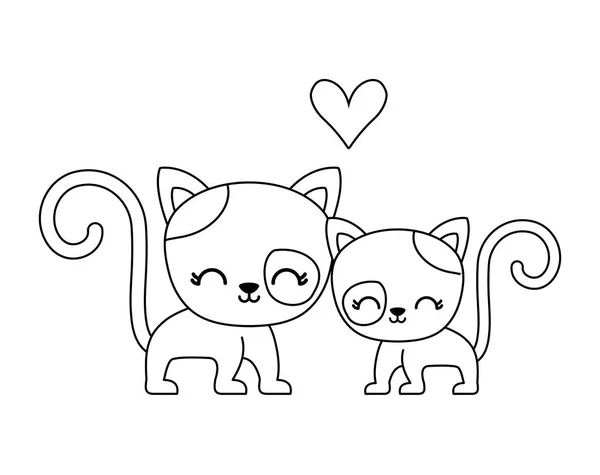 Couple de mignon chat animal isolé icône — Image vectorielle