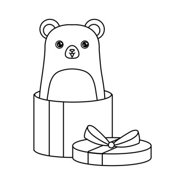 hediye kutusunda sevimli ayı hayvan