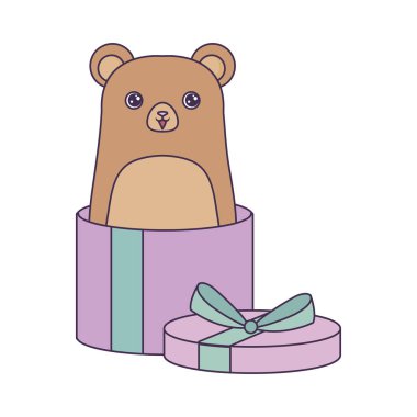 hediye kutusunda sevimli ayı hayvan