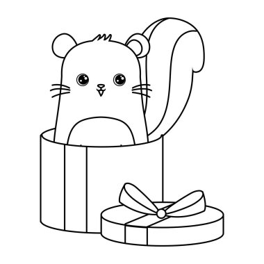 hediye kutusunda sevimli sincap hayvan