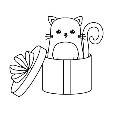 hediye kutusunda sevimli kedi hayvan