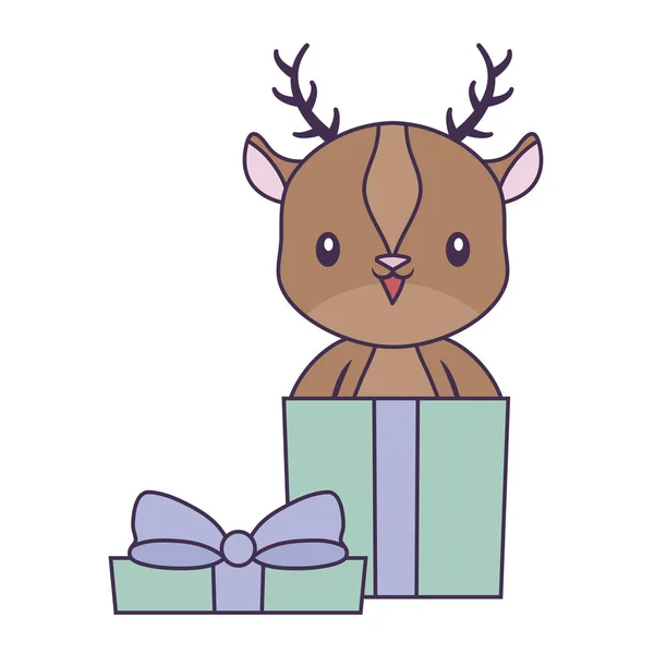 Aranyos rénszarvas állat ajándékdobozban — Stock Vector