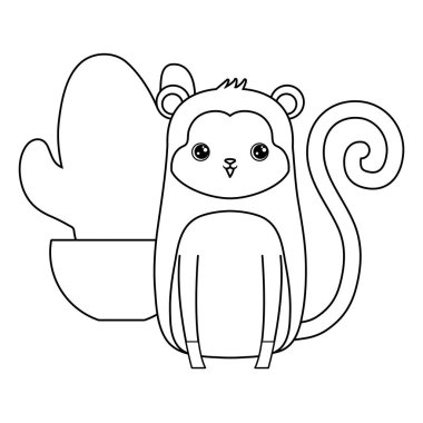 pot kaktüs ile sevimli maymun hayvan