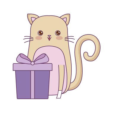 hediye kutusu ile sevimli kedi hayvan