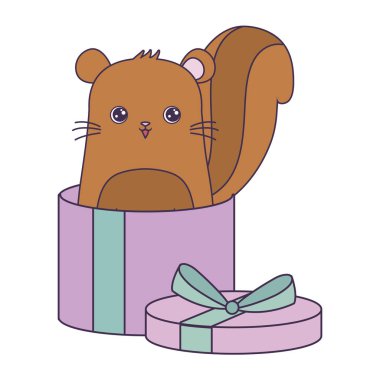 hediye kutusunda sevimli sincap hayvan