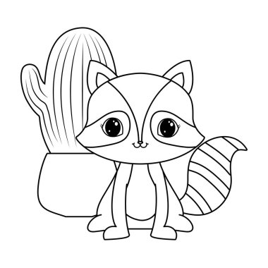 pot içinde kaktüs ile sevimli rakun hayvan