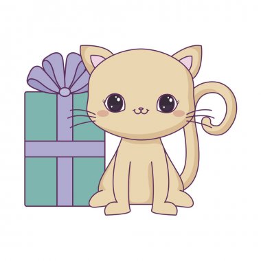 hediye kutusu ile sevimli kedi hayvan