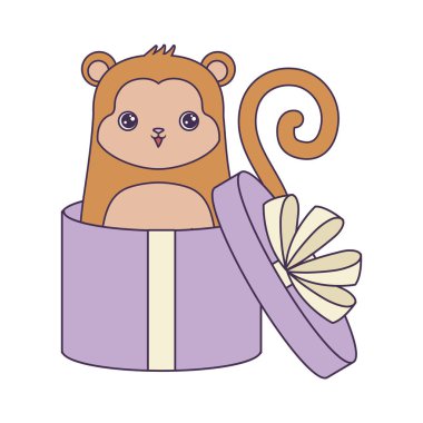 hediye kutusunda sevimli maymun hayvan