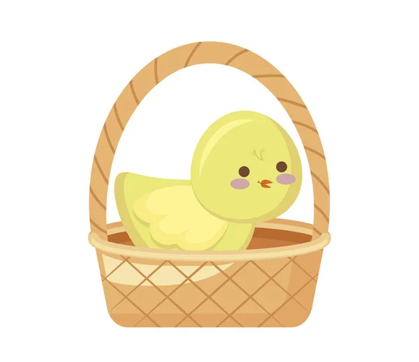 Cute chicken in basket wicker — Stock Vector