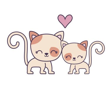 sevimli kedi hayvan izole simgesi çift