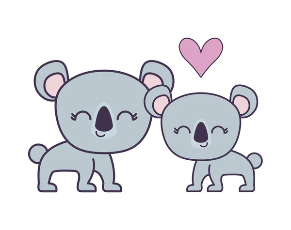 Couple of cute koala animal isolated icon — Stock Vector