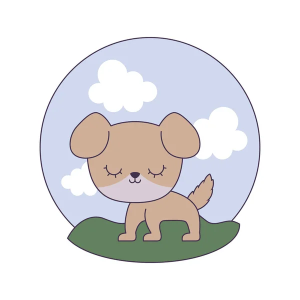 Schattige hond dier in landschap scène — Stockvector