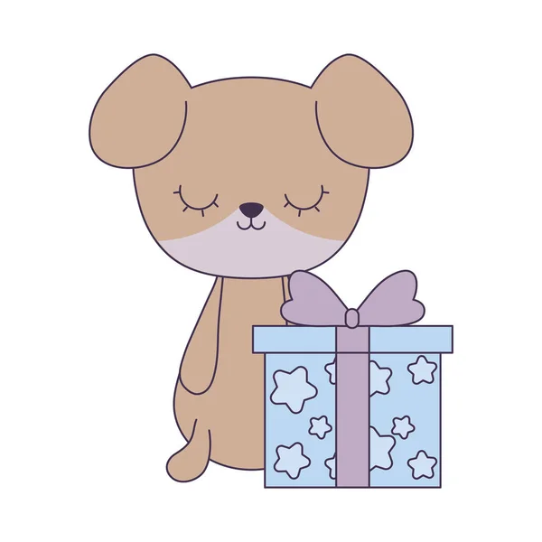 Lindo perro animal con caja de regalo — Vector de stock