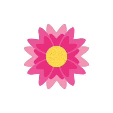 Güzel çiçek doğa izole edilmiş ikon