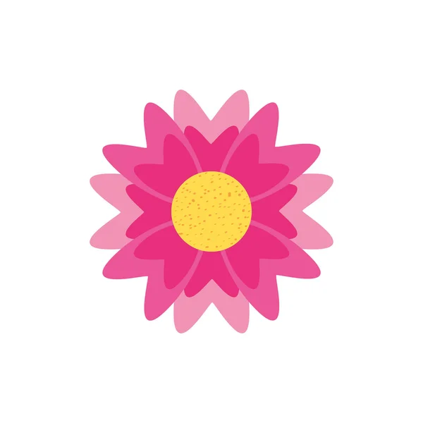 Krásná květina příroda izolované ikony — Stockový vektor