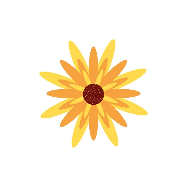 Beautiful flower nature isolated icon — Stock Vector