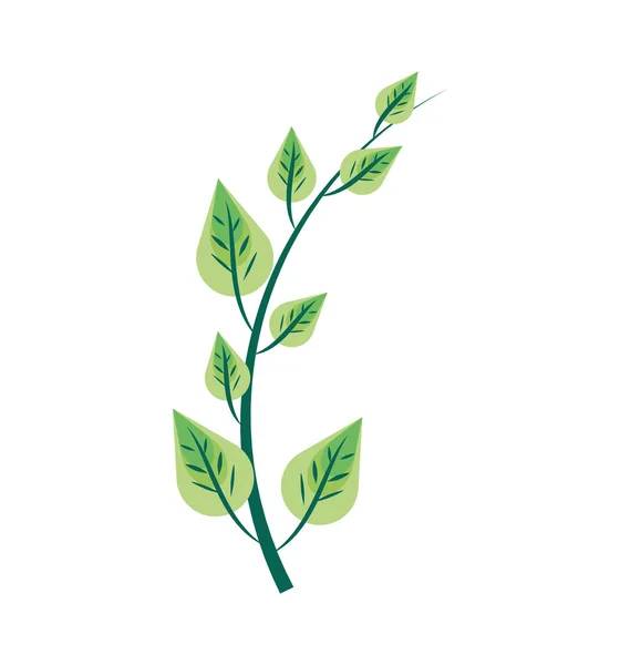 나뭇가지와 잎 자연 — 스톡 벡터