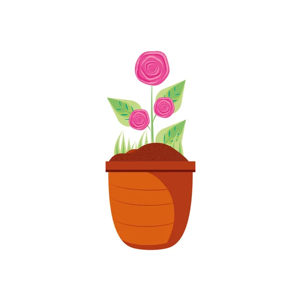 Hermosas rosas naturales en planta de maceta — Vector de stock