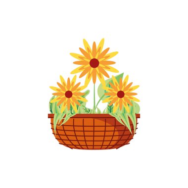 saksı bitkigüzel çiçekler doğal