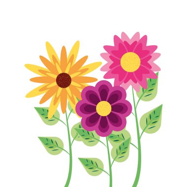 dalları ve yapraklarda güzel çiçekler doğal