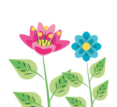 dalları ve yapraklarda güzel çiçekler doğal