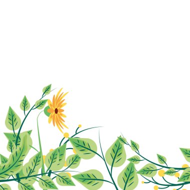 yaprak lar ve braches seti ile çiçek doğal