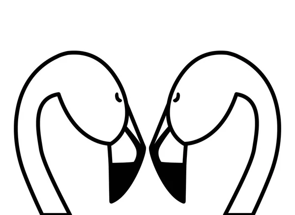 แปลกประหลาดคู่ flemish นกที่มีโพสโรแมนติก — ภาพเวกเตอร์สต็อก