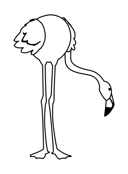 Exotiska flamländska fågeln med huvudet nedåt — Stock vektor
