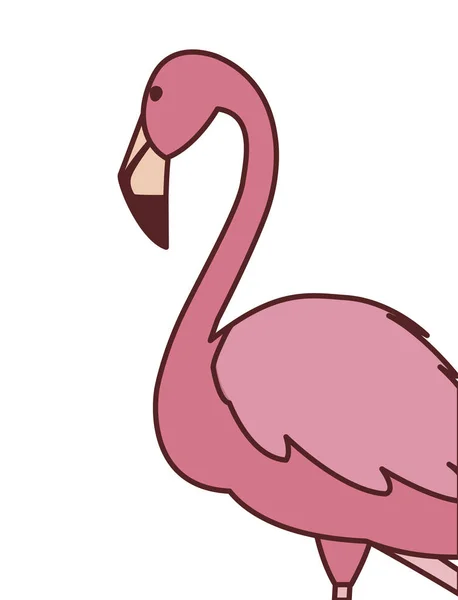 Exótico pájaro flamenco rosa con la cabeza en alto — Archivo Imágenes Vectoriales