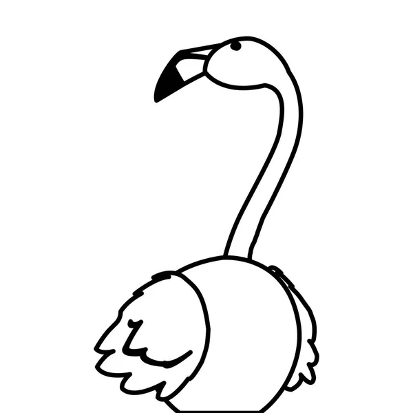 Exotischer flämischer Vogel mit erhobenem Kopf — Stockvektor
