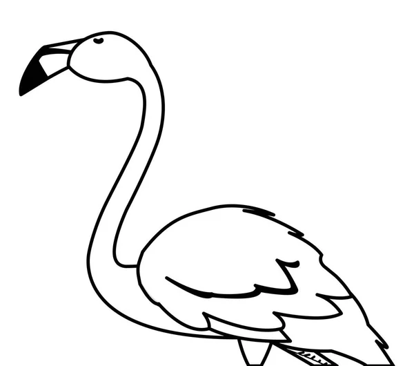 Egzotyczny flamandzki ptak z głową w górę — Wektor stockowy