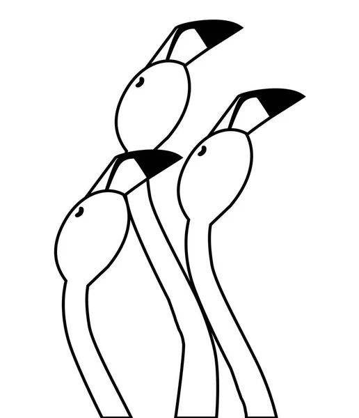 Exotisches flämisches Vogelpaar mit erhobenen Köpfen — Stockvektor