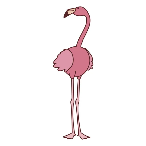 Exótico pájaro flamenco rosa con la cabeza en alto — Vector de stock