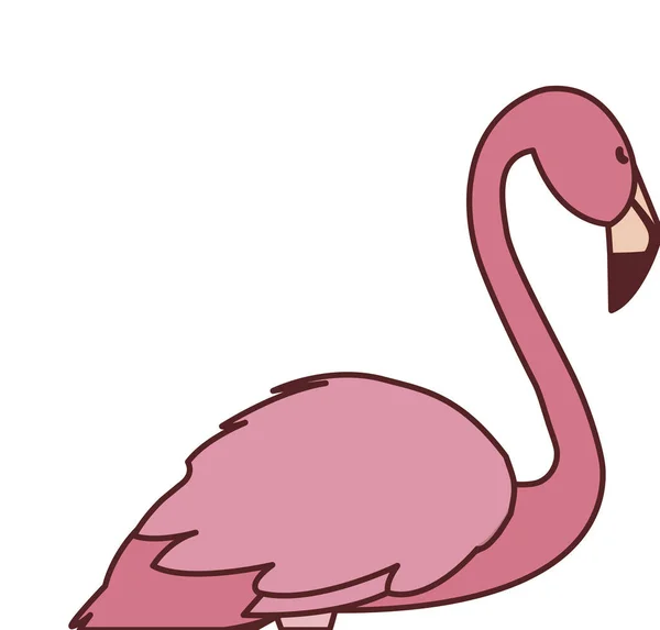 Εξωτικό ροζ φλαμανδικό πουλί με το κεφάλι επάνω — Διανυσματικό Αρχείο