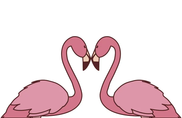 Exotisch rosa flämische Vogelpaar mit romantischer Pose — Stockvektor