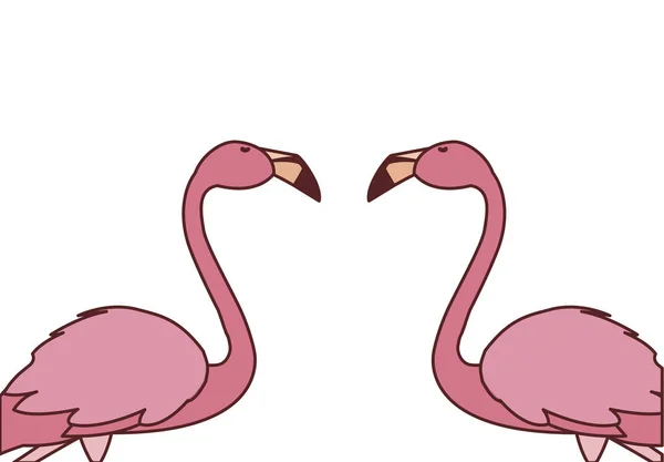 Exotiska rosa flamländska par fåglar med heads-up — Stock vektor