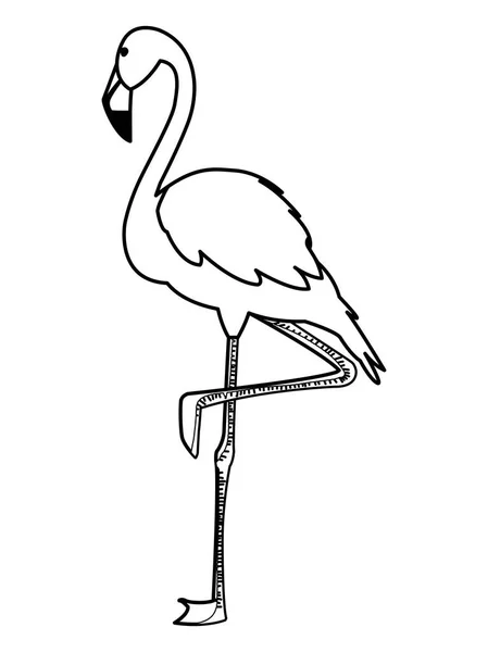 Εξωτικό φλαμανδικό πουλί με το κεφάλι επάνω — Διανυσματικό Αρχείο