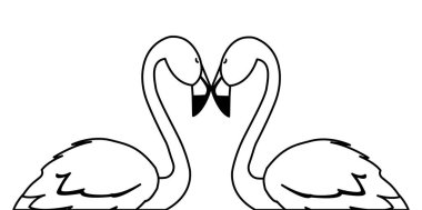 romantik poz ile egzotik flaman çift kuşlar