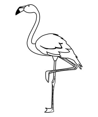 baş yukarı egzotik flaman kuş